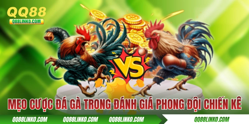Mẹo cược đá gà trong đánh giá phong độ chiến kê