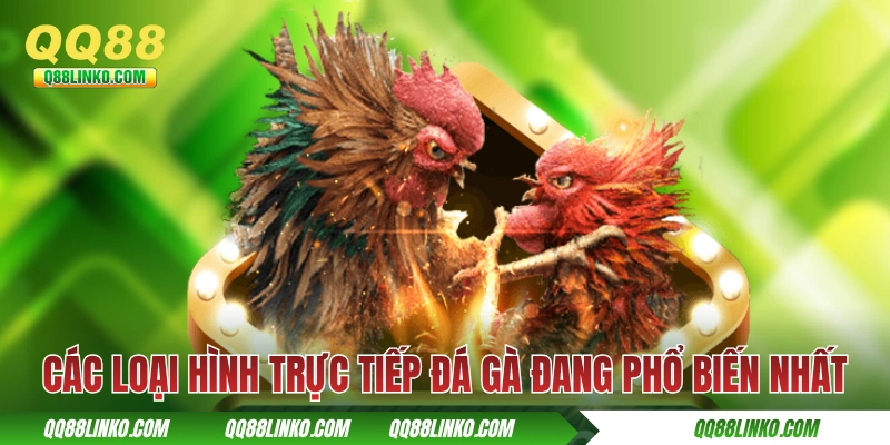 Trực Tiếp Đá Gà - Hoà Cùng Hơi Thở Đến Từ Các Kê Trường 4 Các loại hình trực tiếp đá gà đang phổ biến nhất
