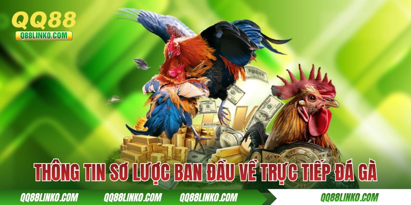Trực Tiếp Đá Gà - Hoà Cùng Hơi Thở Đến Từ Các Kê Trường 2 Thông tin sơ lược ban đầu về trực tiếp đá gà