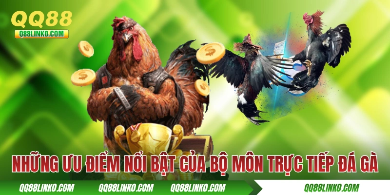 Trực Tiếp Đá Gà - Hoà Cùng Hơi Thở Đến Từ Các Kê Trường 3 Những ưu điểm nổi bật của bộ môn trực tiếp đá gà